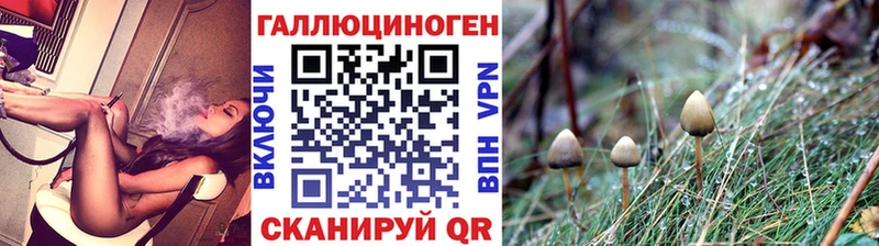 Псилоцибиновые грибы Psilocybe  hydra вход  Красноперекопск 